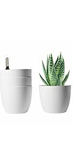 In this post, we'll explain how they work and answer some common questions. T4u Self Watering Plant Pot With Water Indicator Set Of 4 With Water Storage For Indoor And Outdoor Use 15cm Black Amazon De Garten