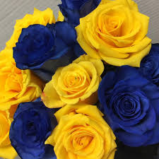 108,454 likes · 16,310 talking about this. Blue And Gold Roses Show Your School Pride Or Bring In Some Fun Colors To Your Home Or Office Call 845 744 2963 Or Flowers Flower Wallpaper Rainbow Roses