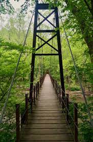 Some of the most popular spots for photography include cascade falls, swinging bridges, and streams. The Swinging Bridge Along River Road