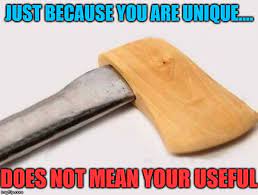 Being Unique Is Not Always Good For You Or Others Just Because You Are Unique Does Not Mean Your Useful Image Tagged In Memes Sp Image Memes Meme Maker