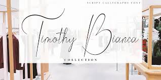 We're introducing new and amazing handlettered script font freebie that you have only dreamed of 🙂 this font is part of a premium product, so it's. Bordershine Script Font Free For Personal