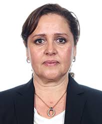 Plantilla de Integrantes de comision LXIII