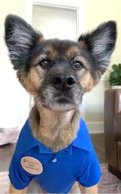 Hanna was a good woman — how on earth, she had to ask herself, did her kids turn out so bad? Hanna Bacon Shrm Cp Employee Relations Specialist Brookdale Linkedin