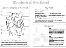 High School Biology Heart And Circulation Worksheet Pack Biology Worksheet Heart Structure Biology Revision