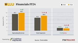Ullus revenue stagnates at Rs 100 Cr in FY24; profit declines by 16%