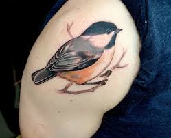 For example, a birdhouse plan with a hole size of 1 1/8 inch in diameter can exclude house sparrows and starlings, monopolizing nest boxes and evicting more. Bird Tattoo Designs Ideas 83 Tattoos Era