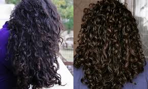 Here are some of the best diy leave in conditioner recipes we have encountered. The Curious Column Mrinalini S Top 5 Diy Hair Masks For Healthy Curls The Curious Jalebi