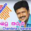 What is alexa rank of this website? Jayasrilanka Net S Stream