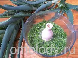 маска для волос с витаминами группы в и алоэ Poleznye Svojstva Soka Aloe Omolozhenie Aloe Zdorove Lekarstvennye Rasteniya