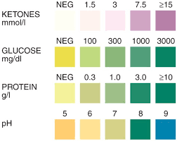 62 Valid Dipstick Urine Analysis Chart