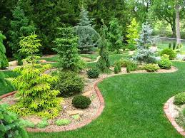Garden Web S Conifer Forum Bliss Conifer Bed Design Conifers Garden Evergreen Landscape Backyard Garden Landscape