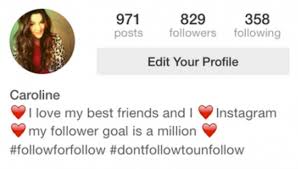 What Your Instagram Bio Says About You | Your Friend&#39;s House via Relatably.com