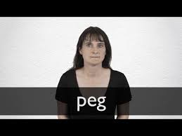 Chinese Translation Of Peg Collins English Chinese Dictionary