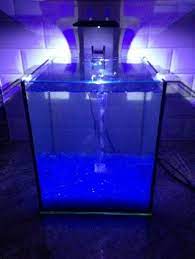 Get the best deals on jellyfish tank. Beautiful Diy Desktop Jelly Tank By A Professional Jellyfish Aquarist Diy Jellyfish Diy Desktop Jelly Tank