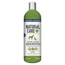 Natural Care Flea And Tick Shampoo For Dogs And Cats 12 Oz You Can Get Additional Details At The Im Mosquito Repellent Spray Natural Care Mosquito Repellent