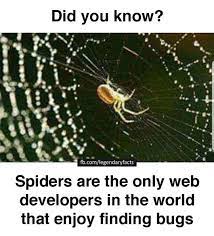 Spiders Are Actually Web Developers Memes