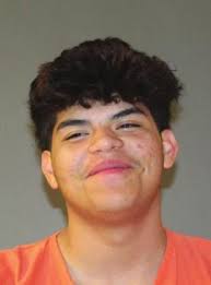 Alleged vehicle vandals arrested