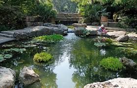 General admission costs $15 for adults and $10. Dallas Arboretum And Zoo Have The Welcome Mats Out With Reservations My Sweet Charity