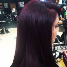 Medium plum brown hair color. 5vr 4vr Violet Red Violet Hair Colors Violet Hair Hair Color Plum