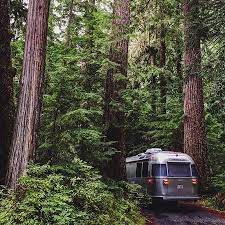 From sleeping in forests comprised of millennia old, massive trees to living along rivers fed by glaciers, camping near mount rainier national park is simultaneously exhilarating and. Airstream Travel Trailer Making Way Into The Cougar Rock Campground At Mount Rainier National Pa Picture Of Cougar Rock Campground Mount Rainier National Park Tripadvisor