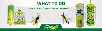 Yellow jackets aren't picky as to where they build yellow jackets should be considered armed and dangerous. Amazon Com Rescue Disposable Summer Yellowjacket Trap Western Time Zones 6 Traps Garden Outdoor