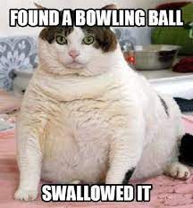Pin On Funny
