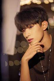 Seventeen concert . Happy Birthday Dk Seventeen Manga And Anime Maniac Facebook