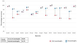 Image result for Plinthus karooicus