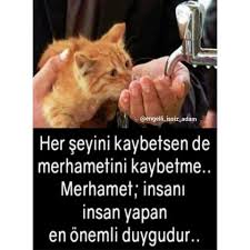 Instagram Engelli Issiz Adam Dualar Ilham Veren Alintilar Inanc Sozleri