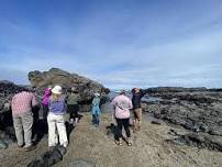 Tidepools to Trails to Telescopes – Central Coast