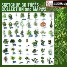Sketchup Texture Sketchup 3d Trees Components Collection 2 3d Tree Trees To Plant Tree Textures