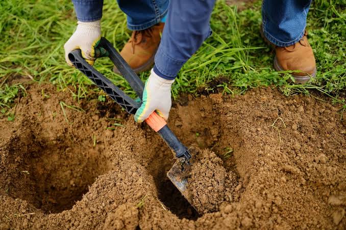 The Complete Guide to Digging in Your Backyard - CheckThisHouse