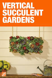 The Home Depot Has Everything You Need For Your Home Improvement Pr Vertical Succulent Gardens Succulents Garden Vertical Garden Planters