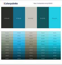 Comprised of green, blue, and yellow tones, turquoise is a striking combination of these color wheel beauties. 4 Latest Color Schemes With Silver And Turquoise Color Tone Combinations 2021 Icolorpalette