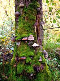 The Mushroom Skyscraper Art World Outdoor Gardens Winter Scenes