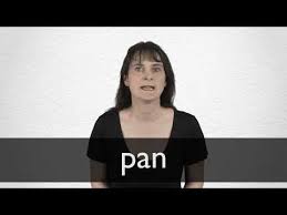 Saucepan meaning, definition, what is saucepan: Pan Definition And Meaning Collins English Dictionary