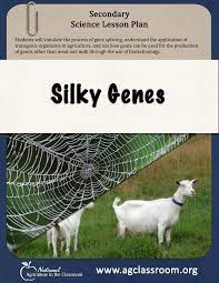 Secondary Science Lesson With A Gene Splicing Simulation Showing Students How Bioengineering Can Be Used To Pl Secondary Science Science Lessons Animal Science