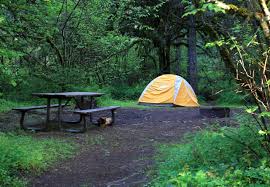 Reservations are required for yurts and cabins. Oregon State Parks Will Reopen Some Campgrounds June 9 With Limited Services Economics Eastoregonian Com