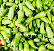 A substance called capsaicin gives chillies their distinctive hot, peppery taste. Mamta S Kitchen Chilli Information