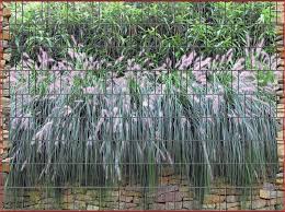 Garten Ideen 25 Einzigartig Sichtschutz Fur Stabgitterzaun O25p Check More At Https Jboyprints Com Garten Ideen 25 Doppelstabmattenzaun Zaun Hohe Straucher