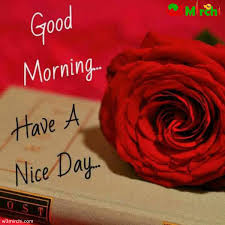good morning photo के लिए इमेज परिणाम