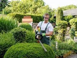 Weiterbildung im gartenbau & landschaftsbau. Gartner In Theodor Schafer Berufsbildungswerk