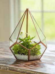 Glass Terrarium Teardrop Tabletop Terrarium Small Terrarium Small Terrarium Tabletop Terrarium Air Plants Decor