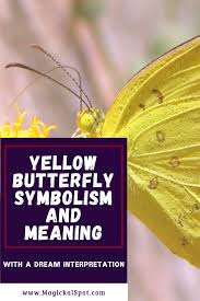 Black And White Butterfly Spiritual Meaning Yellow Butterfly Symbolism And Meaning Dream Interpretation Butterfly Symbolism Yellow Butterfly Yellow Butterfly Meaning