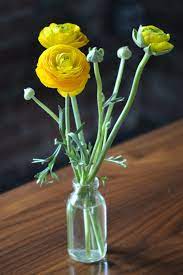 Bright Yellow Spring Time Ranunculus Blooms In Bud Vases And Bunches Of Baby S Breath In Jars Made For Lovely Tablescap Bud Vases Green Building Yellow Springs
