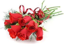 Image result for red roses images