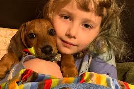 Fundraiser for Erin Ryan by Lindsay Rahel : Please help Biscuit!