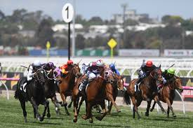 Looking ahead to the Melbourne Cup
