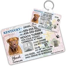 Choose between a real id or new standard card version. Amazon Com Kentucky Driver License Custom Dog Tag For Pets And Wallet Card Personalized Pet Id Tags Dog Tags For Dogs Dog Id Tag Personalized Dog Id Tags