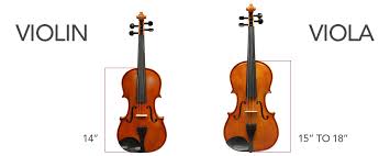 نتیجه جستجوی لغت [viola] در گوگل